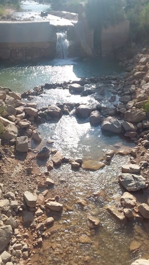 Cedar Canyon Nature Park photo 3