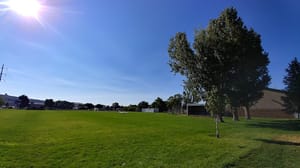 Central Park photo 2