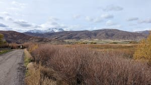 Charleston Day Use Area photo 2