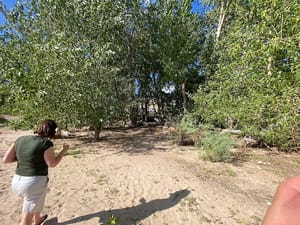 Charleston Town Park photo 2