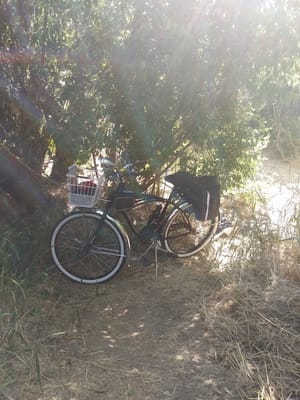 Chelemes Farm Park photo 3