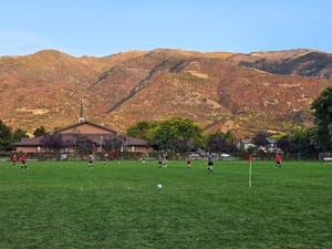 Cherry Farms photo 1