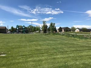 City Hall Park photo 3