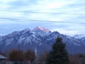 Colonial Estates Park photo 3