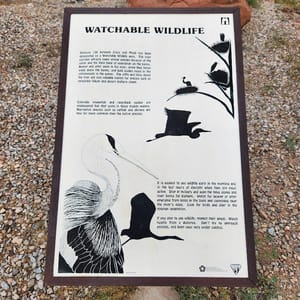 Colorado Riverside Recreation Area photo 3