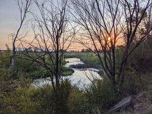 Community Park photo 3