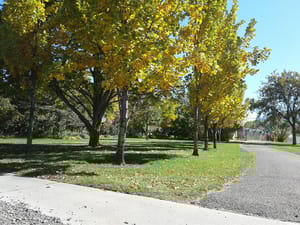 Conover Park photo 2