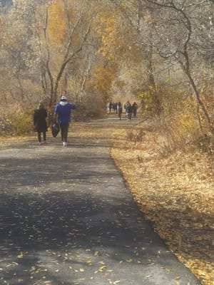 Conover Park photo 3