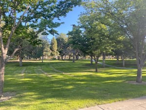 Copperton Park photo 2