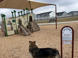 Corner Cove Park photo 2