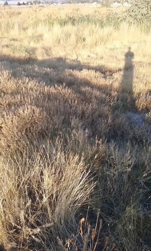 Country Haven Park photo 2