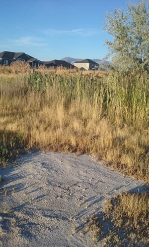 Country Haven Park photo 3