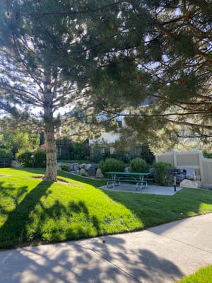 Country Run Park photo 3