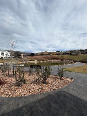 Coyote Springs Park photo 3