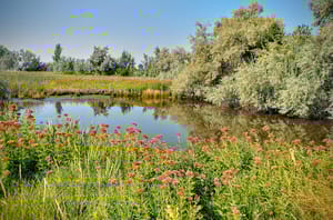 Dale Young Nature Park photo 2