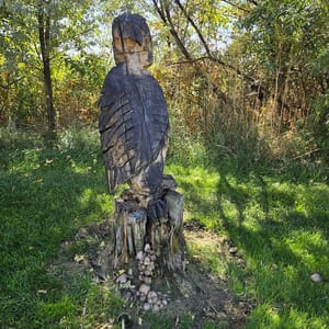 Dale Young Nature Park photo 3