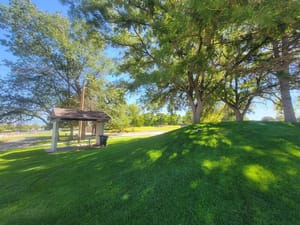 David Gourley Park photo 3