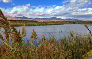 Daybreak Promenade photo 2