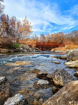 Denzil Stewart Nature Park photo 2