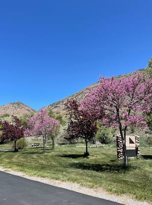 Deweyville Park photo 3