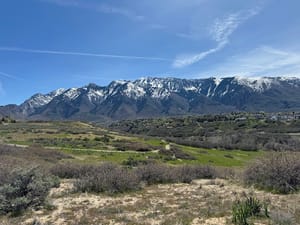 Dimple Dell Regional Park
