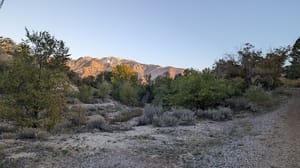 Dimple Dell Regional Park photo 2