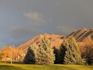 Donner Trail Park photo 3