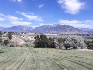 Dr. O. Roi Hardy Park photo 2