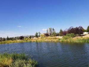 East River Front Park Fishing Ponds