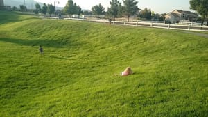 Emmebella Park photo 3