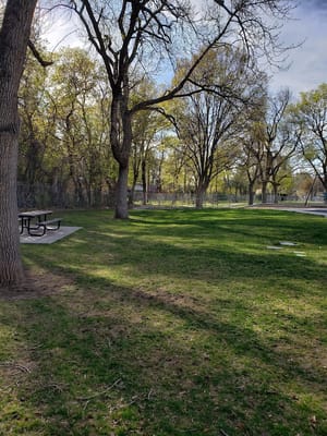 Evergreen Park photo 2