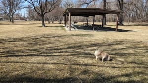 Exchange Park photo 3