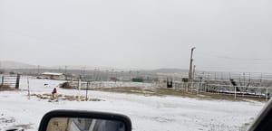 Fairview City Sports Park photo 3