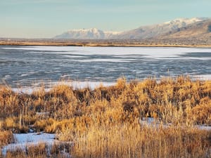 Farmington Bay Waterfowl Management Area