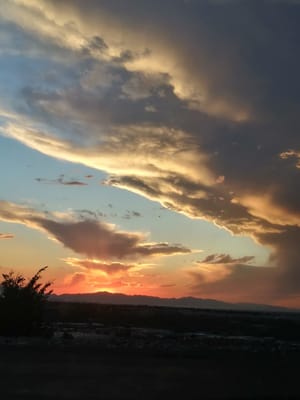 Farrell Park photo 2