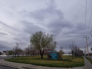 Fassio Farm Park photo 2