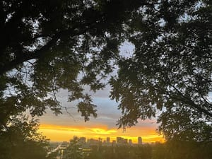 Faultline Gardens photo 2