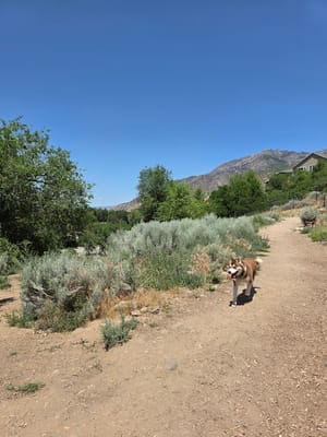 Ferguson Park photo 1