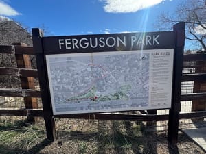 Ferguson Park photo 3