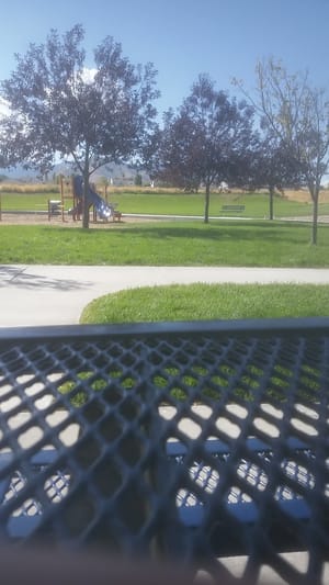 Fieldstone Park photo 2