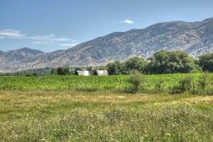 Firefly Park photo 2