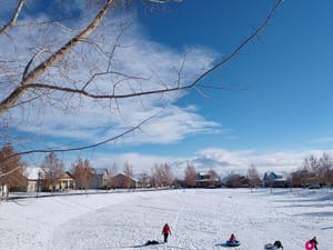 Firmont Park photo 2