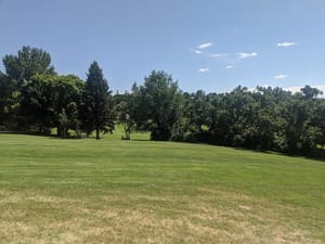 Forest Green Park photo 3