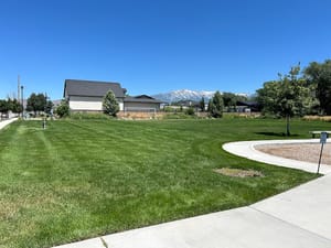 Forest-Mellor Park photo 2