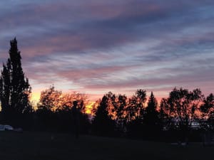 Fortuna Park photo 2