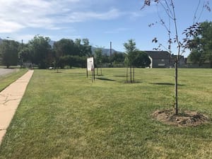 Francis Park photo 3