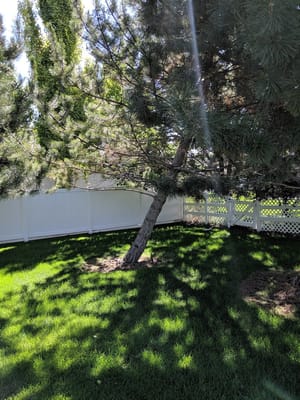 Freeman Park photo 2