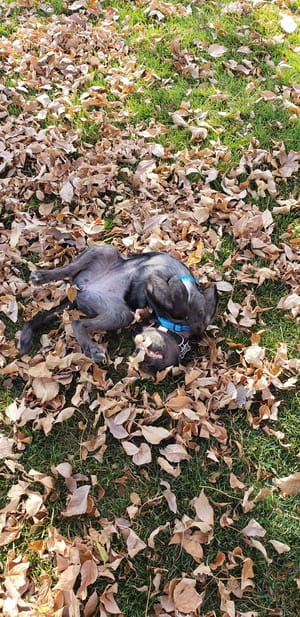 Friendship Park photo 2