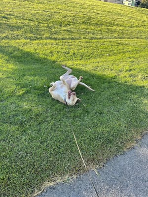 Friendship Park photo 3