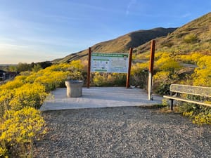 Fruit Loops Mountain Bike Park photo 3